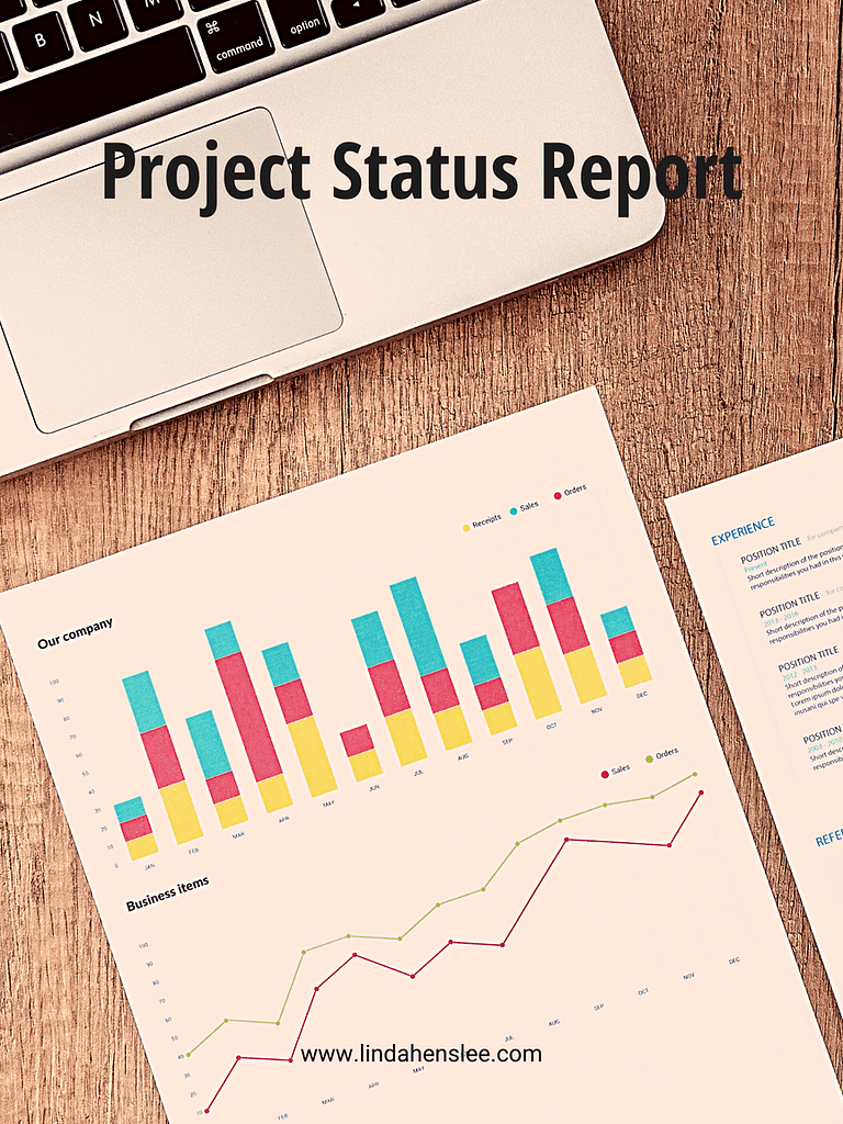 Project Status Report